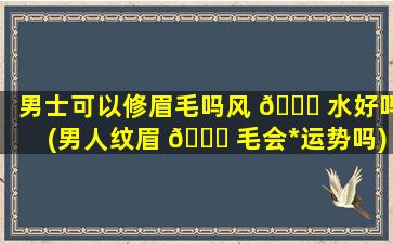 男士可以修眉毛吗风 🐞 水好吗(男人纹眉 🐎 毛会*
运势吗)